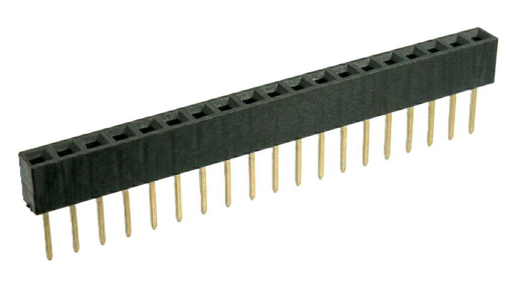 19 Pin Female Header
